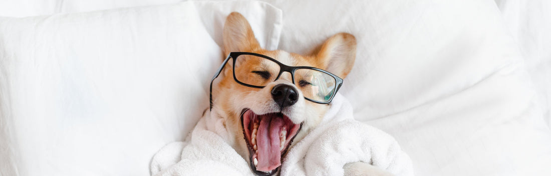 Can Blue Light Blocking Glasses Help You Sleep Better?