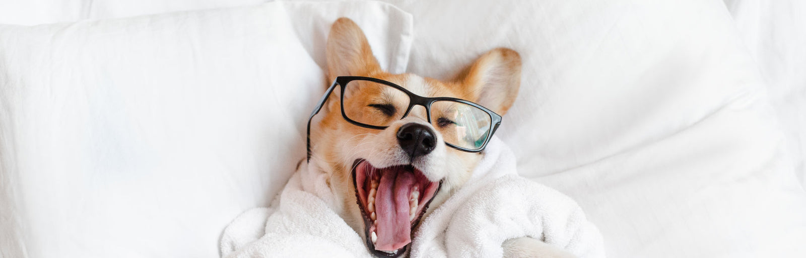 Can Blue Light Blocking Glasses Help You Sleep Better?