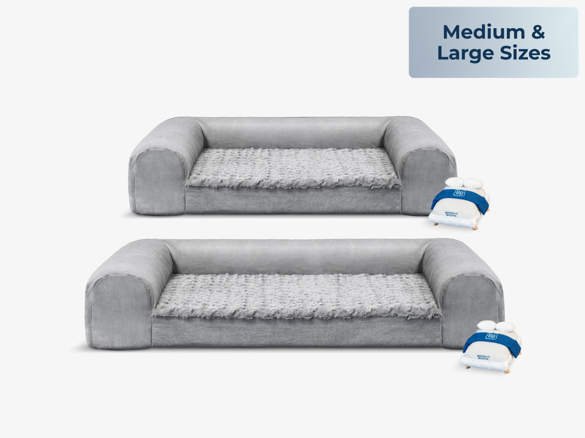 Two gray Brooklyn Bedding pet beds in medium and large sizes with small mattress-shaped squeak toys beside them. Text reads “Medium & Large Sizes.”