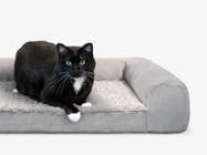 Black and white cat lying in a gray Brooklyn Bedding pet bed on a white background.