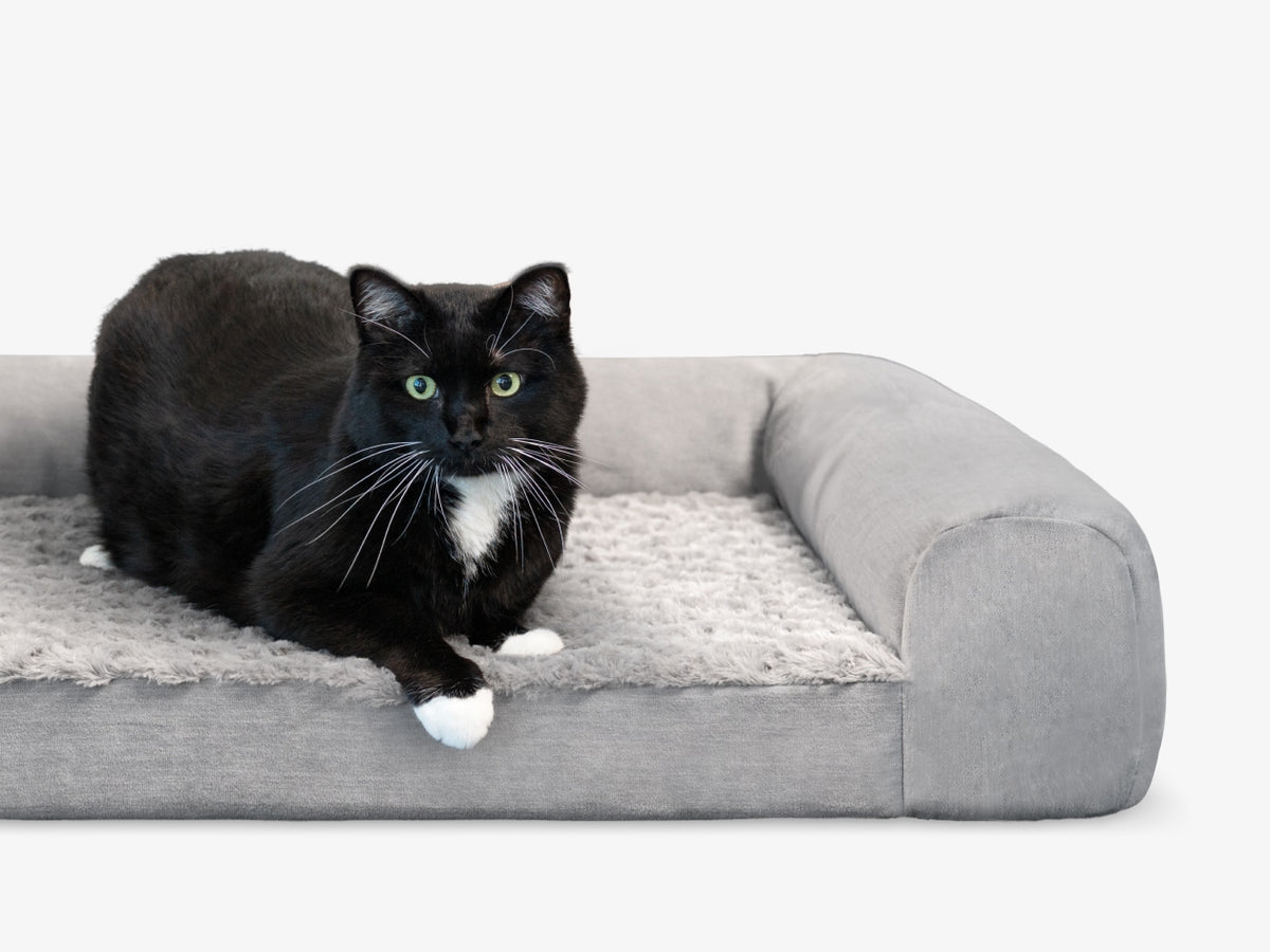 Black and white cat lying in a gray Brooklyn Bedding pet bed on a white background.