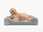 Golden dog lying across a gray Brooklyn Bedding pet bed on a white background.