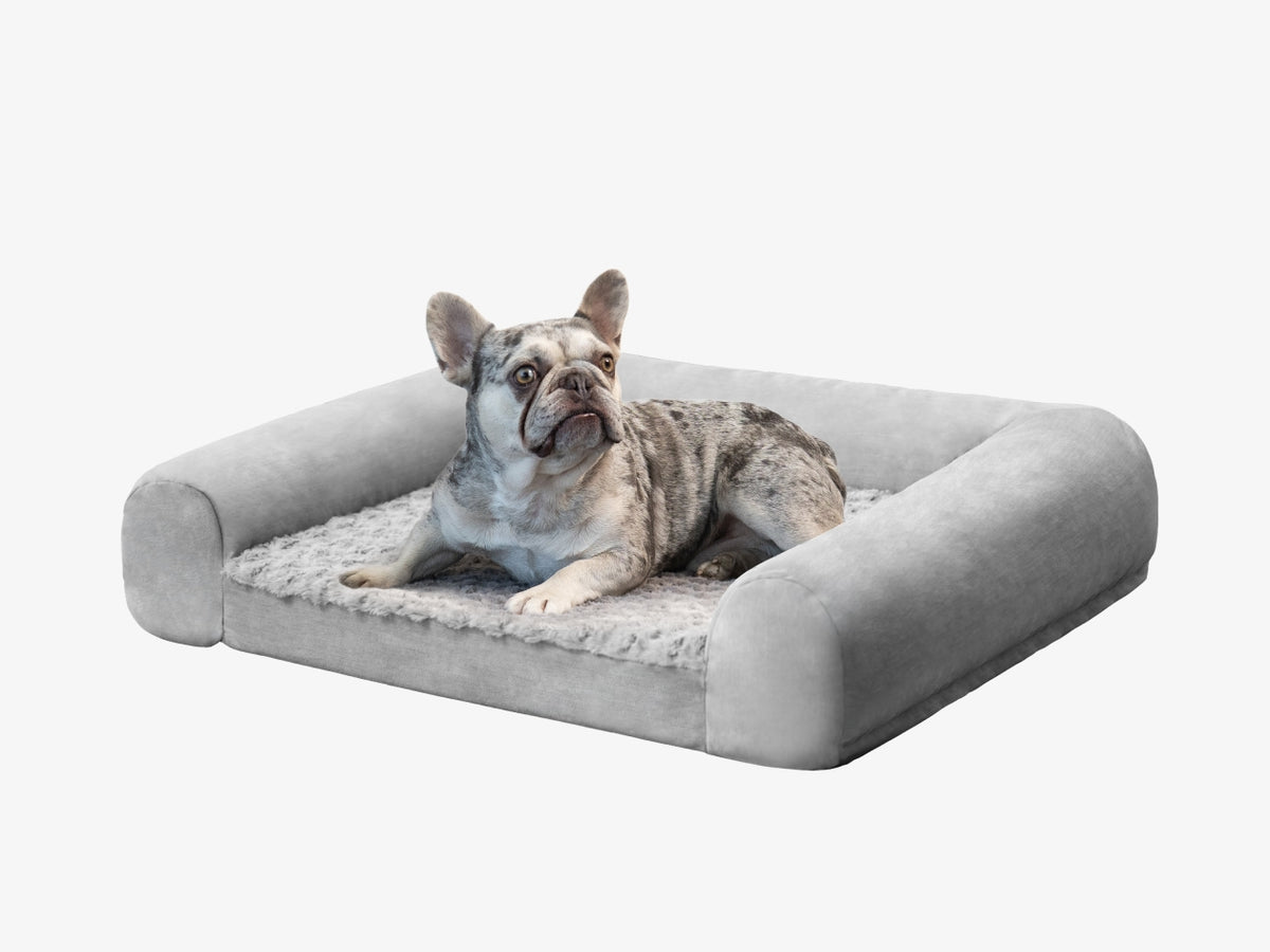 French bulldog lying in a gray Brooklyn Bedding pet bed with rounded side bolsters on a white background.