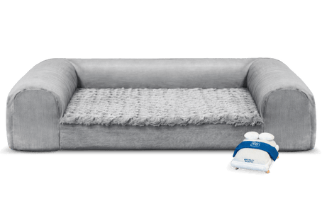 Small white dog lying in a gray Brooklyn Bedding pet bed in front of an Aurora mattress and bedroom nightstands.