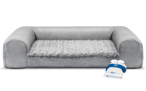 Small white dog lying in a gray Brooklyn Bedding pet bed in front of an Aurora mattress and bedroom nightstands.