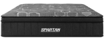 Spartan