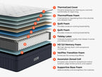 Brooklyn Bedding ThermoBalance LX layer diagram with labeled ThermoCool cover, ThermoPhase foam, quilt foam, Talalay latex, memory foam, transition foam, zoned coils, and supportive base foam.
